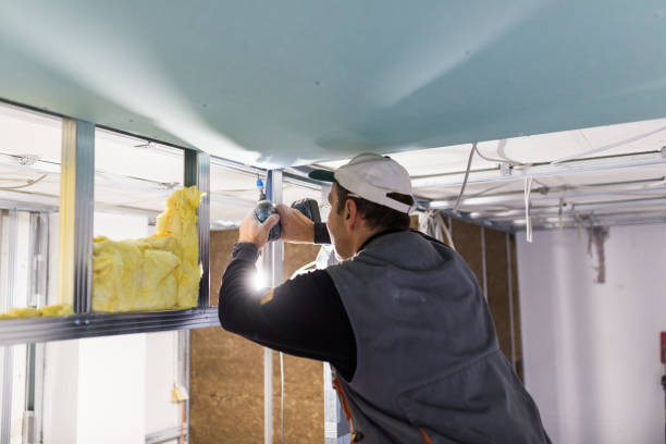 Best Spray Foam Insulation  in Elmendorf, TX