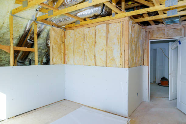 Best Attic Insulation Installation  in Elmendorf, TX