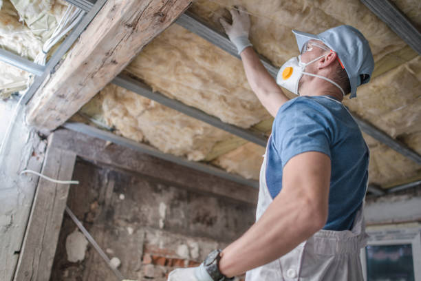 Best Professional Insulation Contractor  in Elmendorf, TX