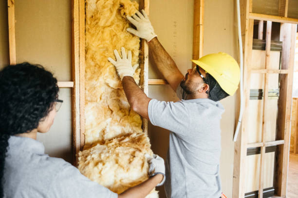 Insulation for New Construction in Elmendorf, TX