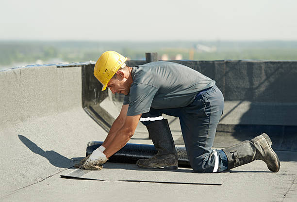 Best Fiberglass Insulation  in Elmendorf, TX