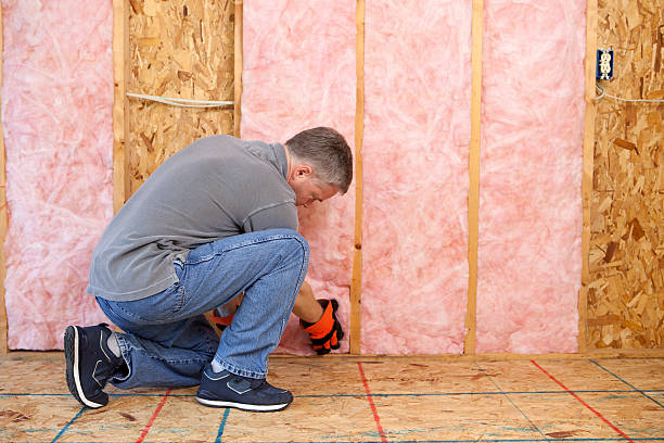 Best Crawl Space Insulation  in Elmendorf, TX