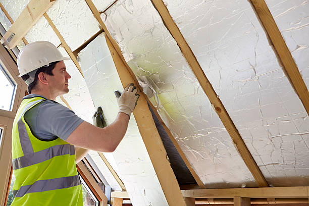 Best Insulation Repair Services  in Elmendorf, TX
