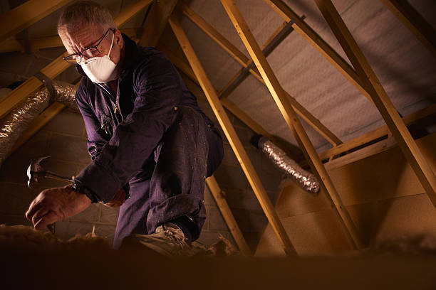 Best Local Insulation Services  in Elmendorf, TX