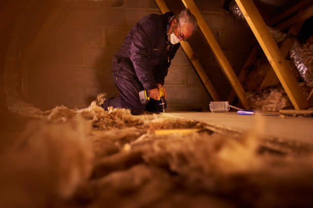 Best Residential Insulation Services  in Elmendorf, TX