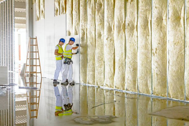 Best Blown-in Insulation  in Elmendorf, TX